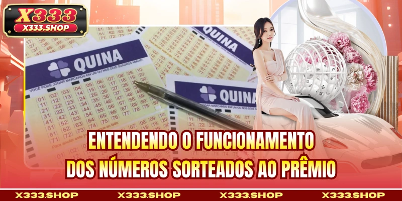 Entendendo o funcionamento - dos números sorteados ao prêmio